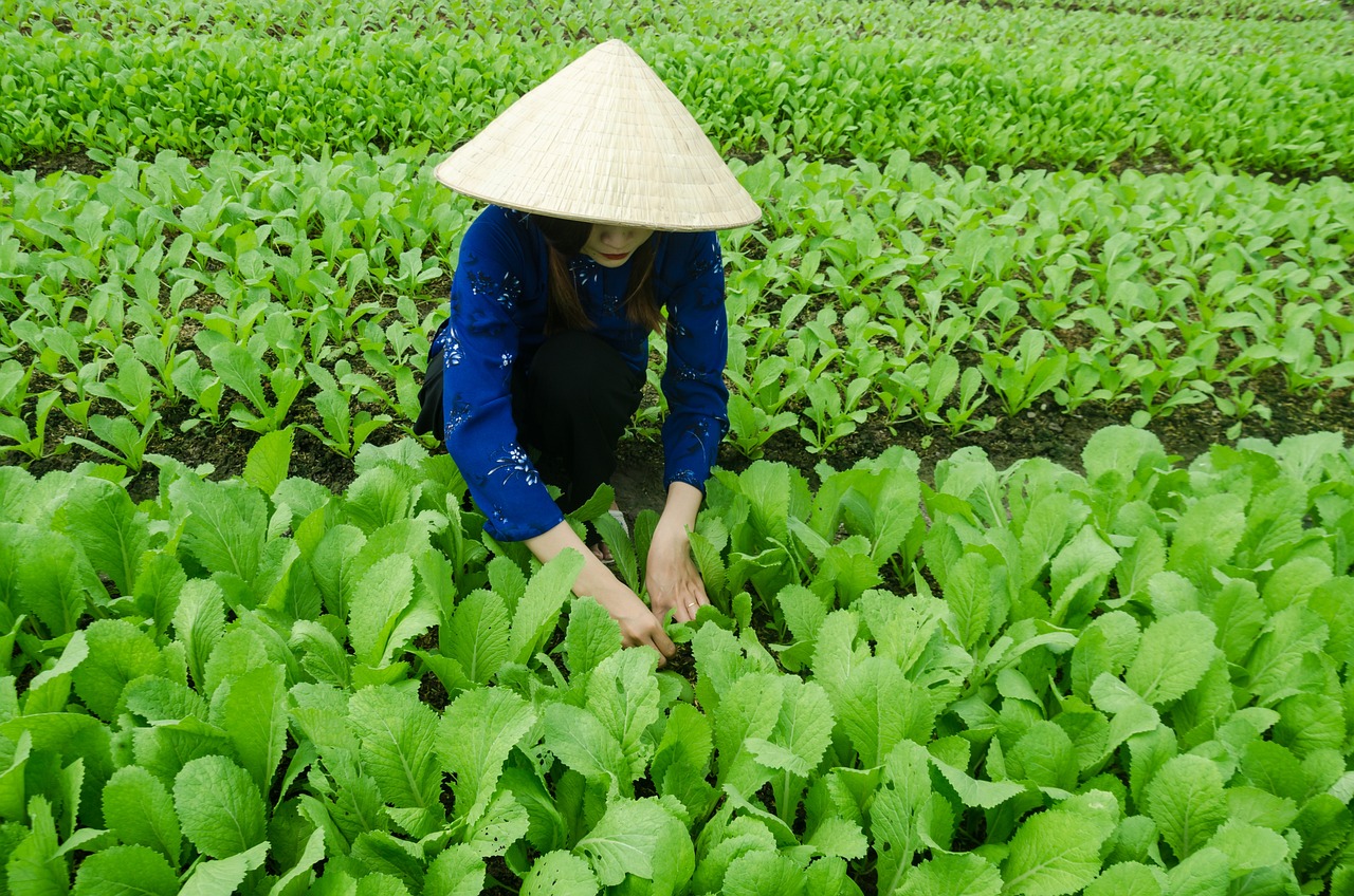 漪银玄海 第20页